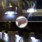 Warm White LED Solar Step Lamp