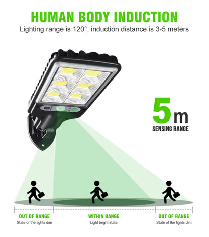 Solar Motion Sensor Light