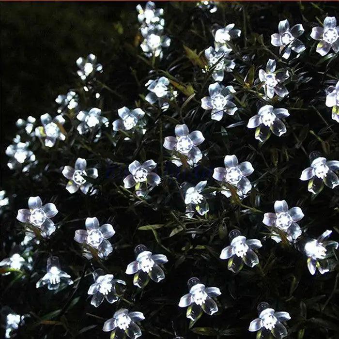 Luces solares de cerezo resistentes a la intemperie