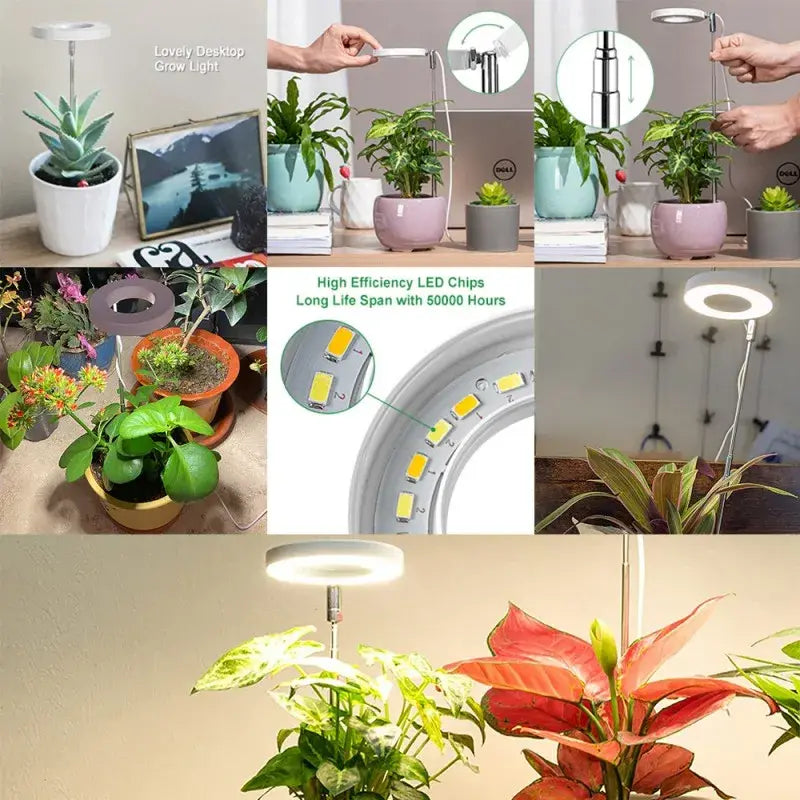 Spectrum Indoor Solar Growth Light