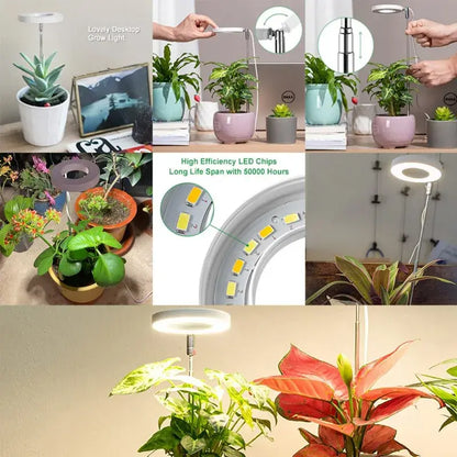 Spectrum Indoor Solar Growth Light