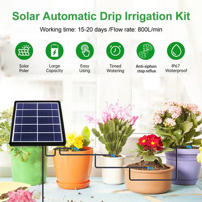 Solar-Tropfbewässerungsset